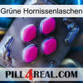 Grüne Hornissenlaschen 02